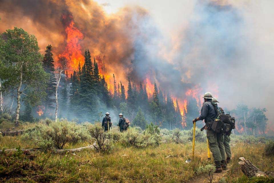See page for author, Public domain, via Wikimedia Commons Firefighters on the McKinney fire observe fire behavior on the mountain from a safe distance.
